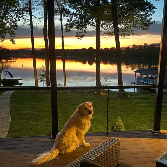 Meet Posher, Monica…☘️Open to a WHOLE WORLD of Amazing possibilities ! ♥️😍🏝️🌎 - Picture 4 of 9